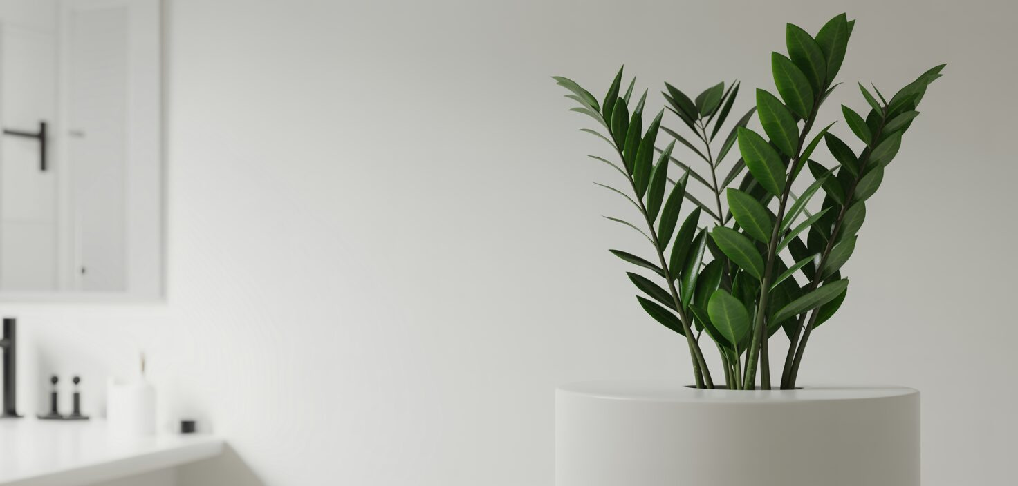 Ett fotorealistiskt foto av en garderobsblomma i ett minimalistiskt badrum.